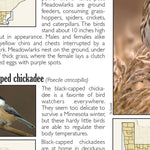 Central-Northwest MN All-Outdoors Atlas & Field Guide pg. 146-147