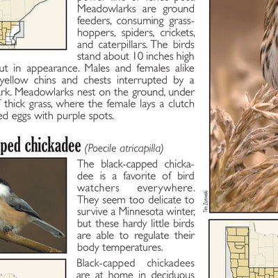 Central-Northwest MN All-Outdoors Atlas & Field Guide pg. 146-147