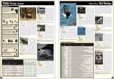 Central-Northwest MN All-Outdoors Atlas & Field Guide pg. 144-145