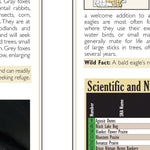 Central-Northwest MN All-Outdoors Atlas & Field Guide pg. 144-145