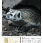 Central-Northwest MN All-Outdoors Atlas & Field Guide pg. 144-145