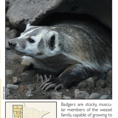 Central-Northwest MN All-Outdoors Atlas & Field Guide pg. 144-145