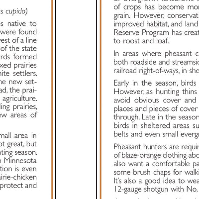 Central-Northwest MN All-Outdoors Atlas & Field Guide pg. 130-131