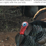 Central-Northwest MN All-Outdoors Atlas & Field Guide pg. 130-131