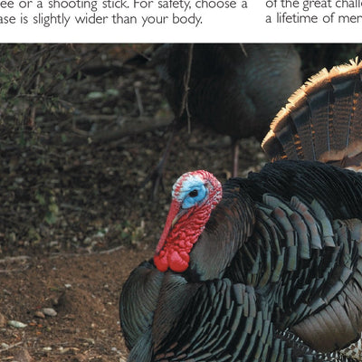 Central-Northwest MN All-Outdoors Atlas & Field Guide pg. 130-131