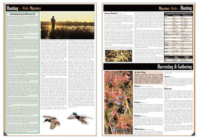 Eastern NY All-Outdoors Atlas & Field Guide pg. 028-029