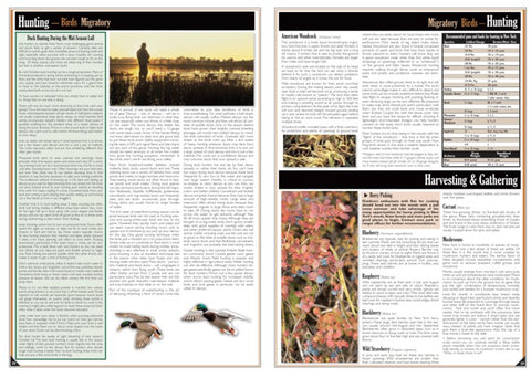 Eastern NY All-Outdoors Atlas & Field Guide pg. 028-029