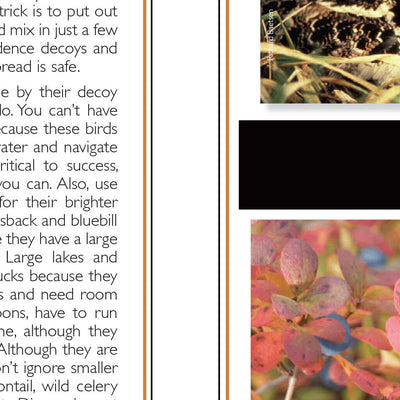 Eastern NY All-Outdoors Atlas & Field Guide pg. 028-029