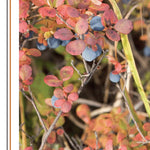 Eastern NY All-Outdoors Atlas & Field Guide pg. 028-029