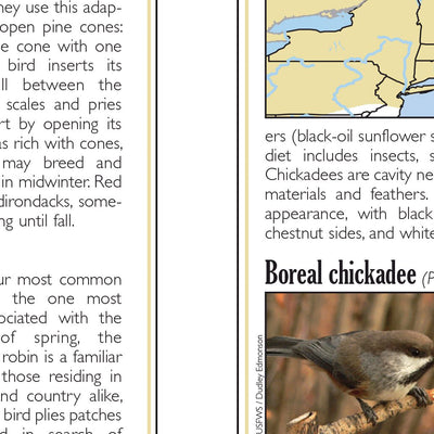 Eastern NY All-Outdoors Atlas & Field Guide pg. 052-053