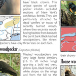 Eastern NY All-Outdoors Atlas & Field Guide pg. 052-053