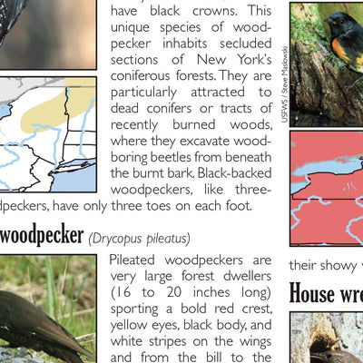 Eastern NY All-Outdoors Atlas & Field Guide pg. 052-053