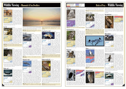 Eastern NY All-Outdoors Atlas & Field Guide pg. 050-051
