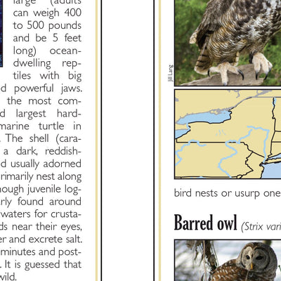 Eastern NY All-Outdoors Atlas & Field Guide pg. 050-051