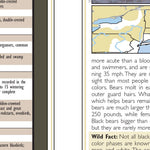 Eastern NY All-Outdoors Atlas & Field Guide pg. 048-049