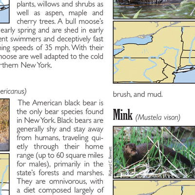 Eastern NY All-Outdoors Atlas & Field Guide pg. 048-049