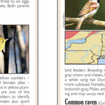 Eastern NY All-Outdoors Atlas & Field Guide pg. 054-055