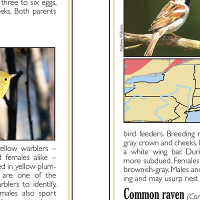 Eastern NY All-Outdoors Atlas & Field Guide pg. 054-055