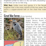 Eastern NY All-Outdoors Atlas & Field Guide pg. 054-055