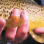 Western NY All-Outdoors Atlas & Field Guide pg. 016-017