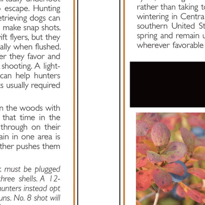 Western NY All-Outdoors Atlas & Field Guide pg. 028-029