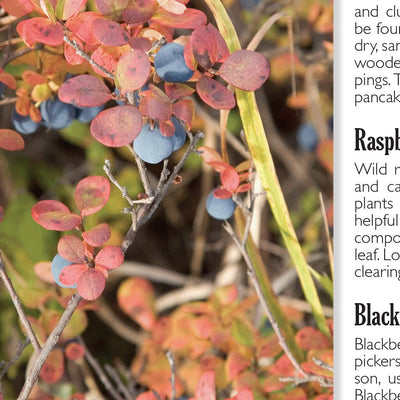 Western NY All-Outdoors Atlas & Field Guide pg. 028-029