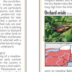 Western NY All-Outdoors Atlas & Field Guide pg. 046-047