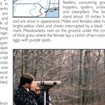 Western NY All-Outdoors Atlas & Field Guide pg. 046-047