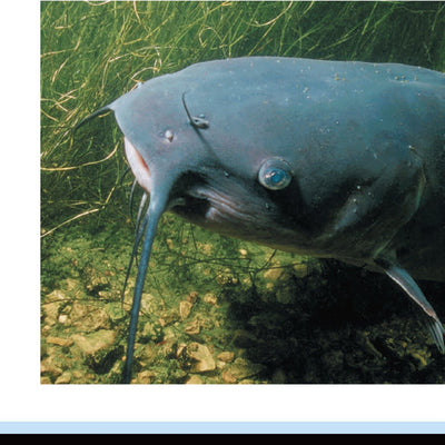 Western NY All-Outdoors Atlas & Field Guide pg. 014-015