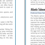 Western NY All-Outdoors Atlas & Field Guide pg. 018-019