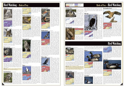 Western NY All-Outdoors Atlas & Field Guide pg. 042-043