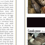 Western NY All-Outdoors Atlas & Field Guide pg. 042-043