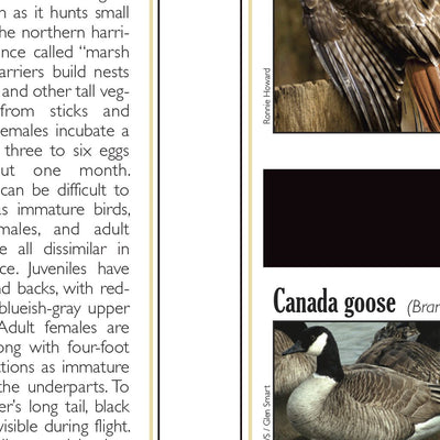 Western NY All-Outdoors Atlas & Field Guide pg. 042-043