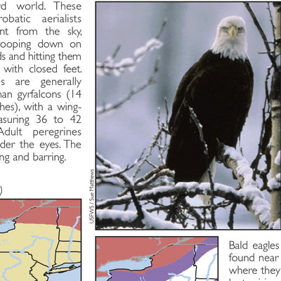Western NY All-Outdoors Atlas & Field Guide pg. 042-043