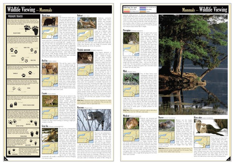 Western NY All-Outdoors Atlas & Field Guide pg. 040-041