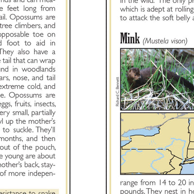 Western NY All-Outdoors Atlas & Field Guide pg. 040-041