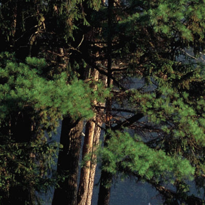 Western NY All-Outdoors Atlas & Field Guide pg. 040-041