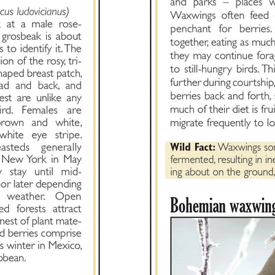 Western NY All-Outdoors Atlas & Field Guide pg. 044-045