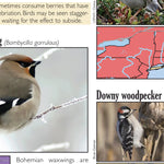 Western NY All-Outdoors Atlas & Field Guide pg. 044-045