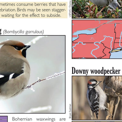 Western NY All-Outdoors Atlas & Field Guide pg. 044-045