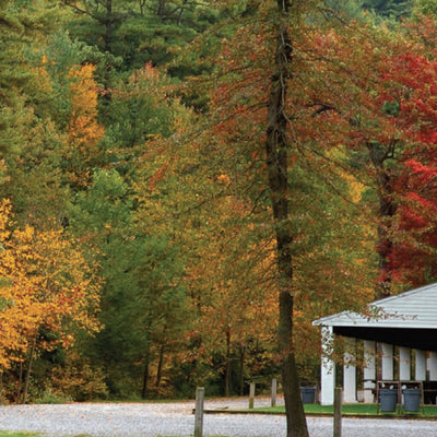 Western NY All-Outdoors Atlas & Field Guide pg. 032-033