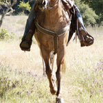 Western NY All-Outdoors Atlas & Field Guide pg. 064-065