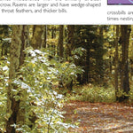 Western NY All-Outdoors Atlas & Field Guide pg. 048-049