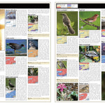 Western NY All-Outdoors Atlas & Field Guide pg. 050-051