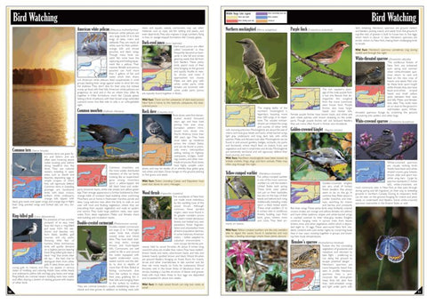 Western NY All-Outdoors Atlas & Field Guide pg. 050-051