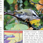 Western NY All-Outdoors Atlas & Field Guide pg. 050-051