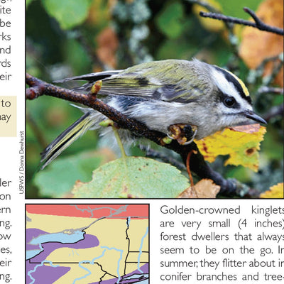 Western NY All-Outdoors Atlas & Field Guide pg. 050-051