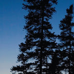 Western NY All-Outdoors Atlas & Field Guide pg. 170-171