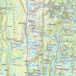 Municipality of Tinn