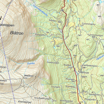 Municipality of Tynset
